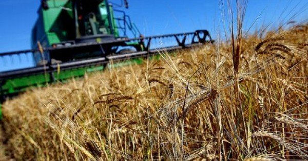 Agricultorii sunt îndemnați să depună în avans cererile pentru subvenționare. Valoarea unui proiect nu va depăși un milion de lei