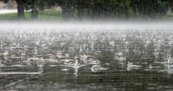 Zeci de hectare de livezi și lanuri întregi de culturi agricole, distruse de grindină! Comisiile pentru situații excepționale se află în localitățile afectate