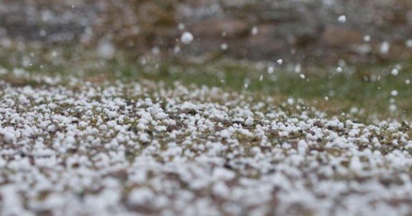 Ploile abundente fac ravagii pe terenurile agricole: Zeci de ha de livezi, distruse de grindină