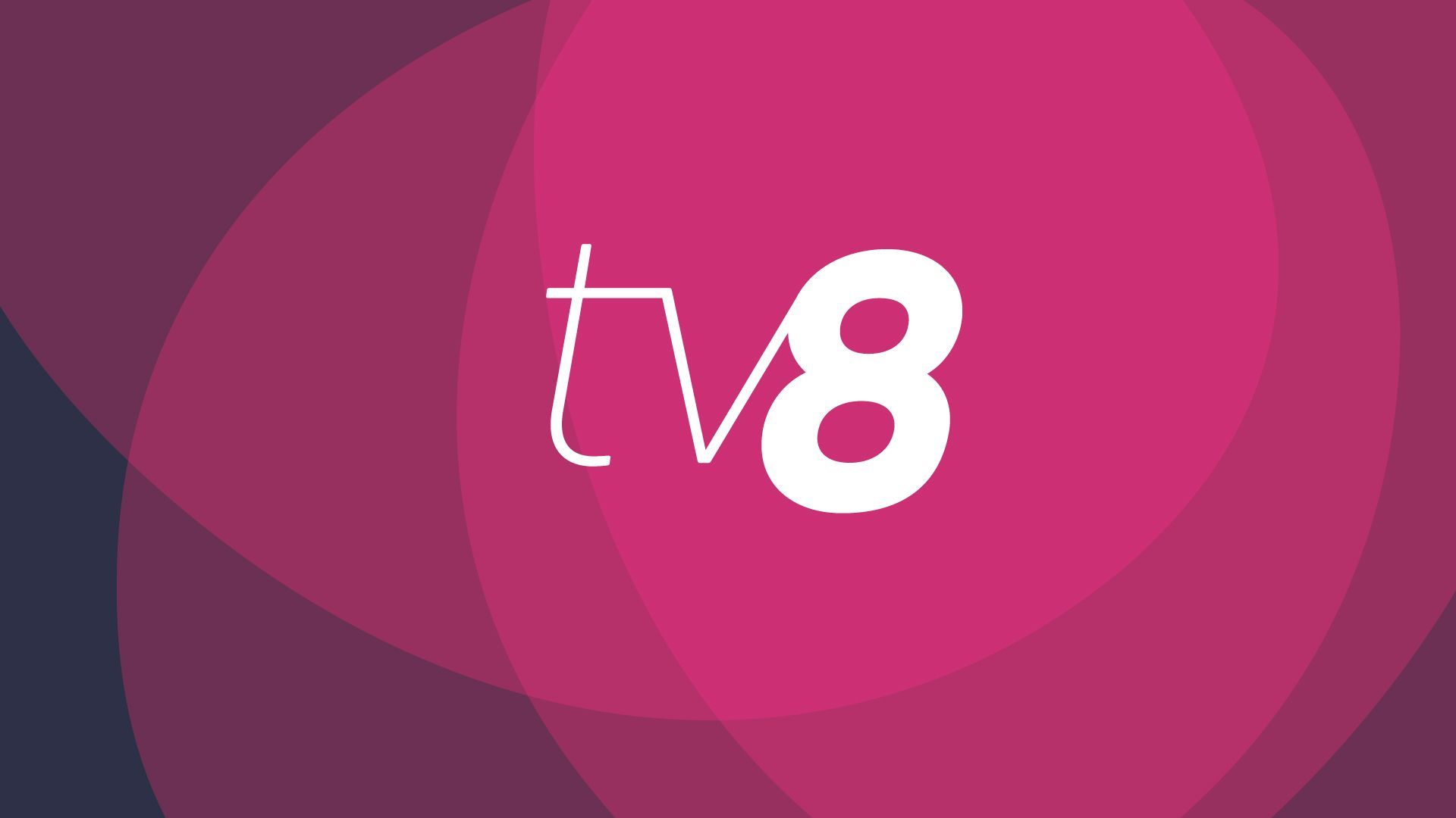ONG-urile de media își exprimă îngrijorarea în legătură cu atacurile asupra echipei TV8
