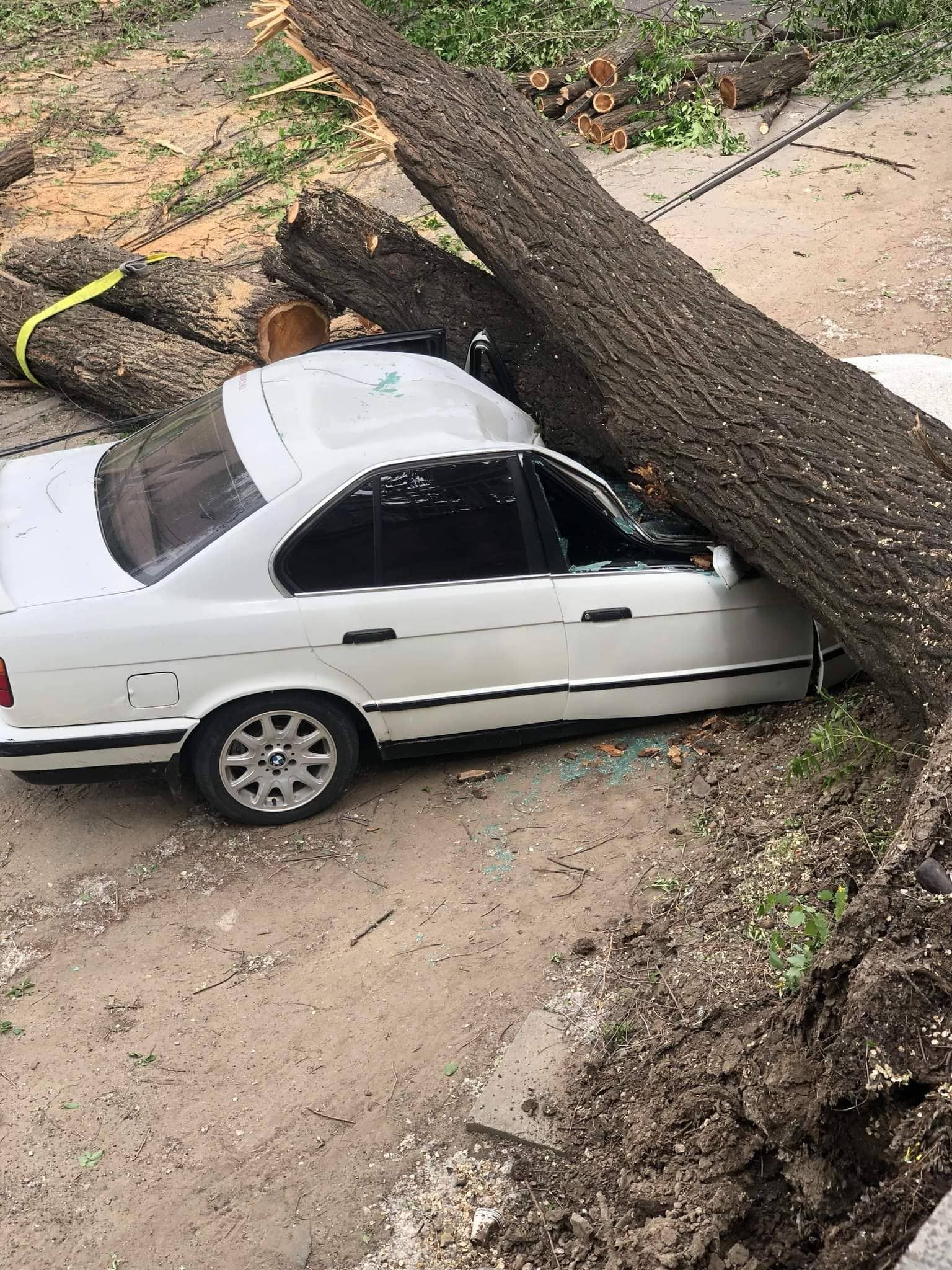 FOTO // Chișinău: Un copac a căzut peste un automobil și mai multe fire electrice