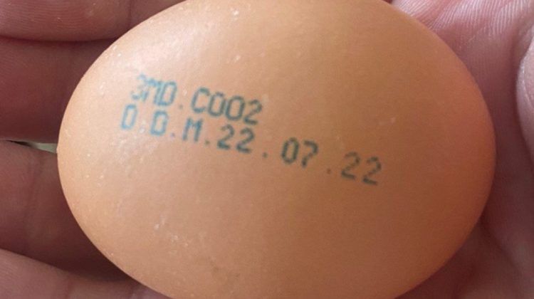 Un lot de ouă, retrase din vânzare, după ce a fost depistată Salmonella la găinile de unde au fost livrate: Cumpărătorii, rugați să nu le consume și să le returneze