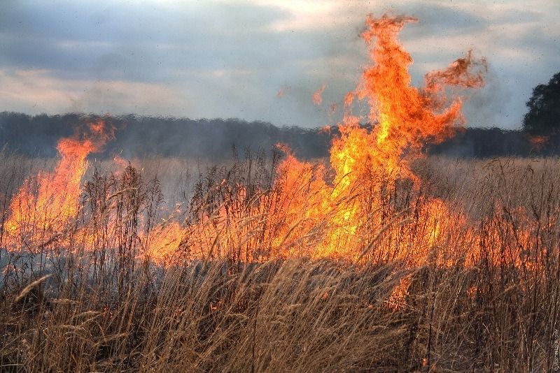 Meteorologii au anunțat prelungirea codului galben de pericol excepțional de incendiu pe teritoriul Moldovei