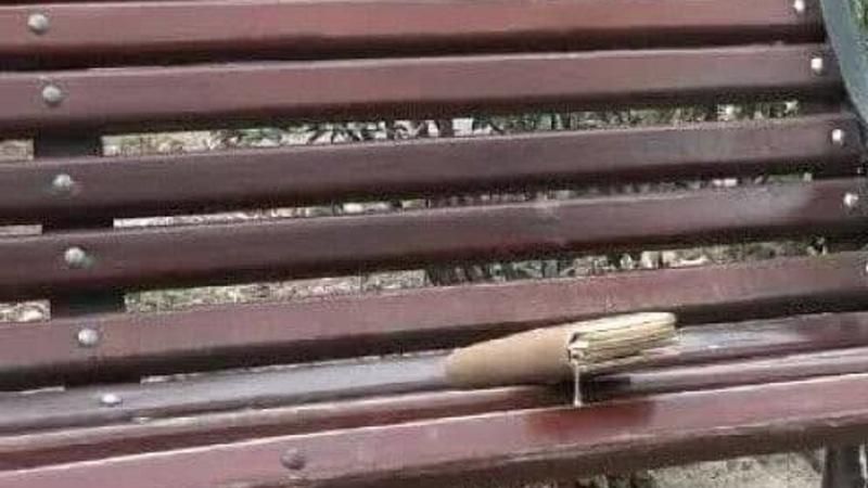 Se caută persoana care a pierdut portmoneul în Parcul Afgan: O femeie a dus banii la Poliție