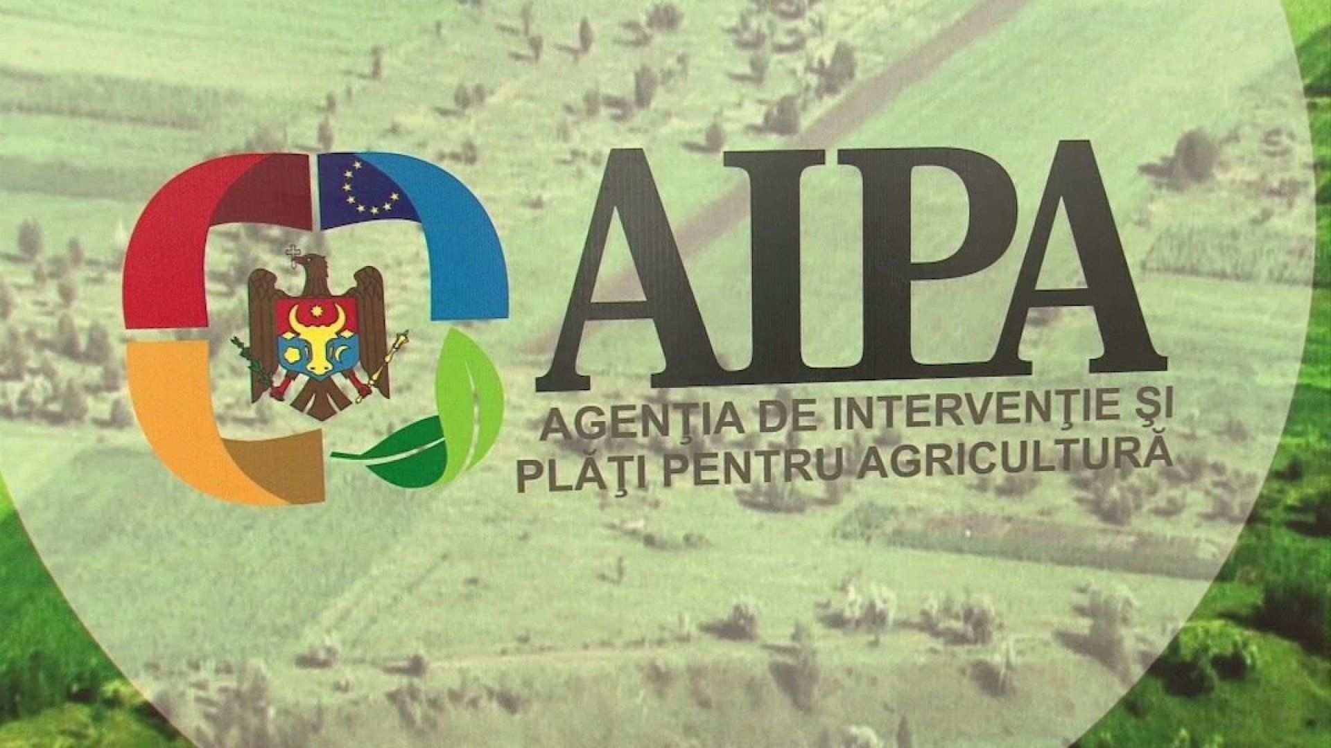 AIPA, după perchezițiile CNA și PA: Un angajat al Agenției a fost reținut