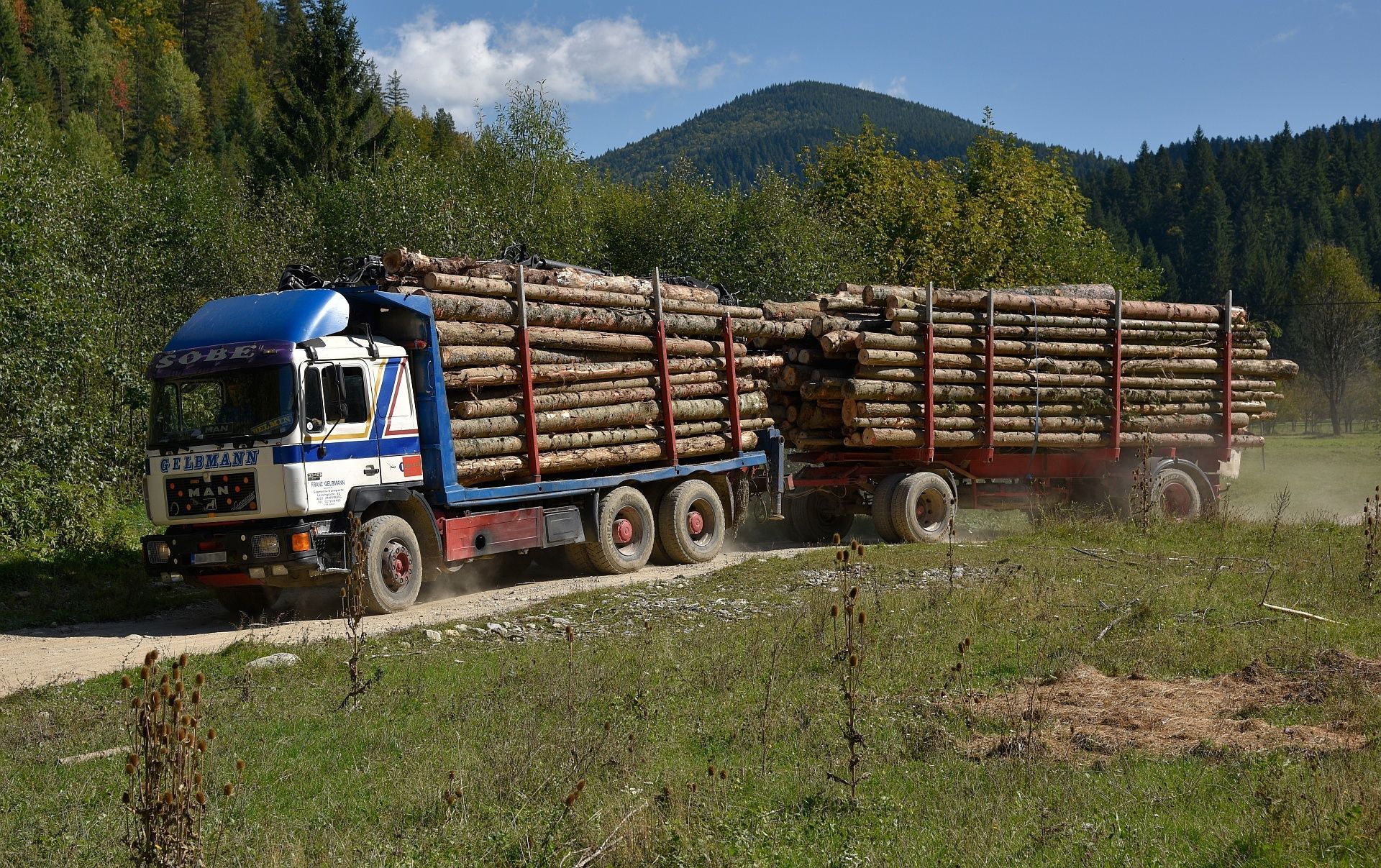 Ministrul Mediului: Primele cinci camioane cu lemne din România vor ajunge astăzi în R. Moldova