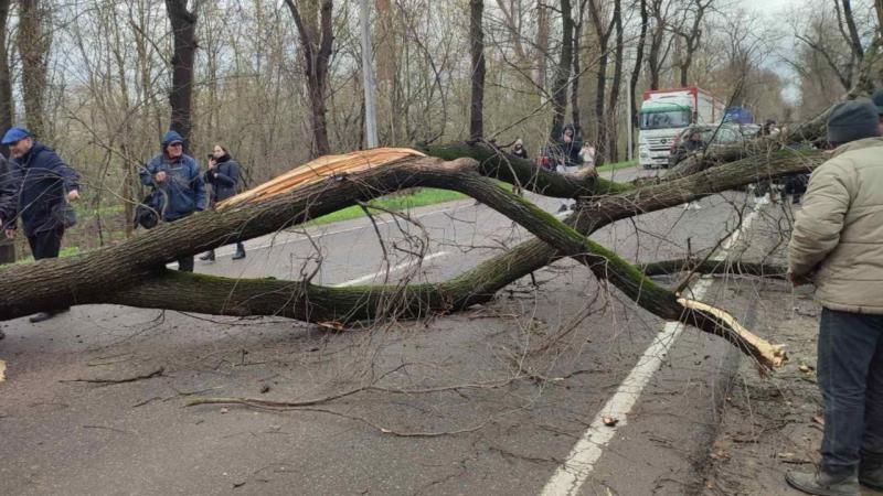 Vântul puternic a provocat mai multe pagube în capitală dar și în unele regiuni ale R. Moldova