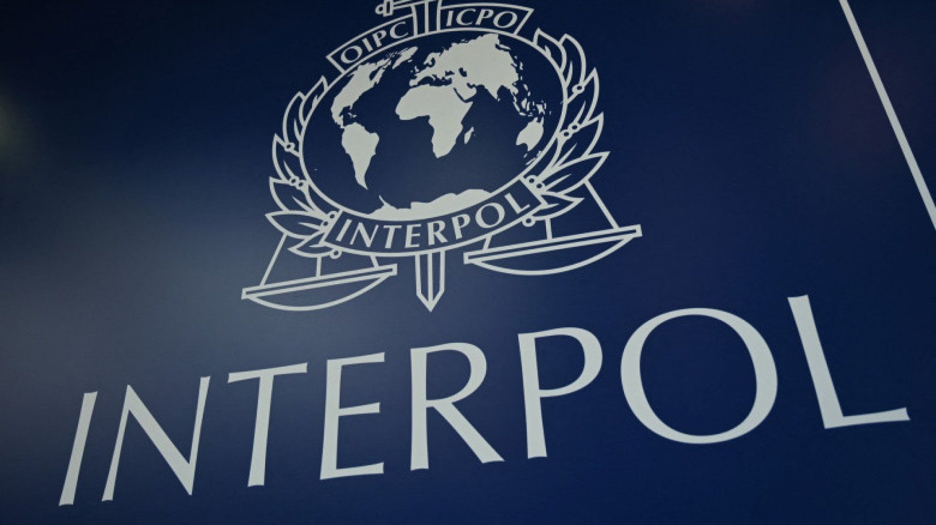 Interpol cere ajutorul publicului pentru identificarea trupurilor a 22 de femei, găsite în Germania, Belgia şi Olanda