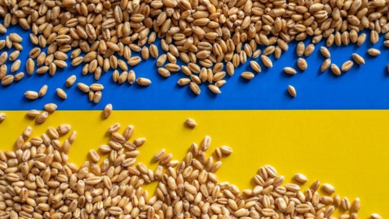 Ungaria cere Comisiei Europene să prelungească restricţiile cu privire la importul de cereale din Ucraina