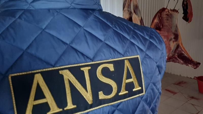 REACȚIA ANSA, după ce ofițerii CNA au reținut 6 angjați ai Agenției