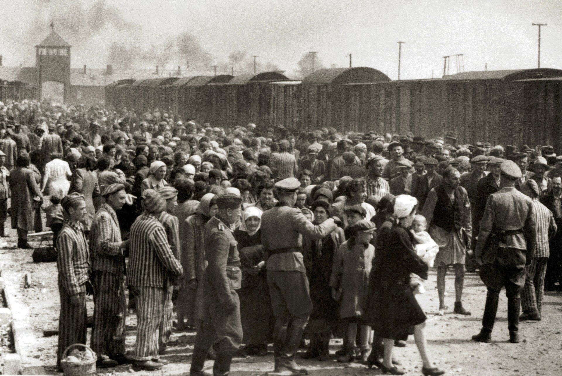 27 ianuarie – Ziua Internațională de Comemorare a Victimelor Holocaustului. Recomandări de filme care abordează subiectul unuia dintre cele mai mari masacre din istorie