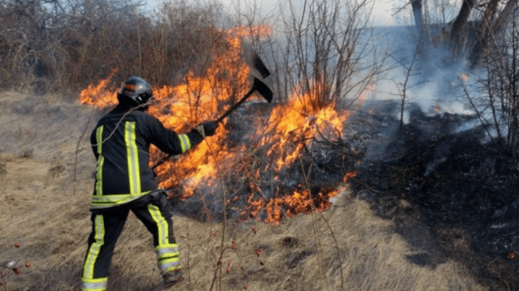 30 de incendii de vegetație au avut loc în ultimele 24 de ore; Flăcările au distrus peste 110 ha de teren