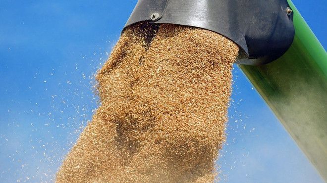 Ursula Von der Leyen propune taxarea importurilor de cereale din Rusia