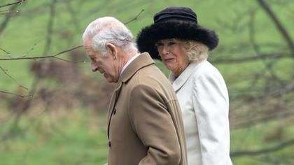 Regele Charles al Marii Britanii este „frustrat” de ritmul de recuperare după cancer, dezvăluie nepotul său