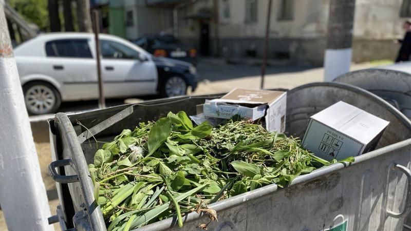 Atenție: Aruncarea deșeurilor vegetale în containerele municipale este interzisă