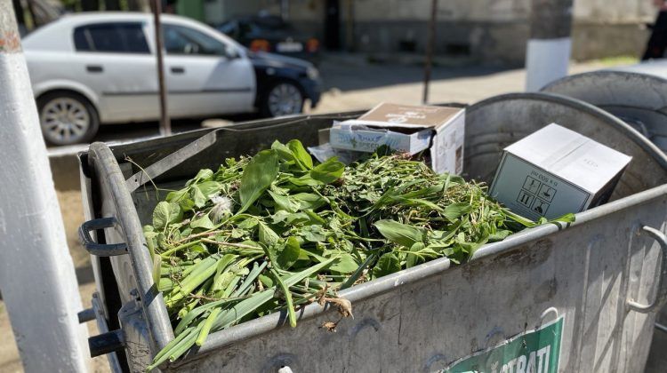 Atenție: Aruncarea deșeurilor vegetale în containerele municipale este interzisă