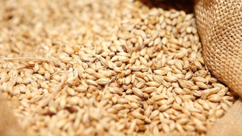 Importul de cereale în Republica Moldova va fi permis doar în baza licenței încă trei luni