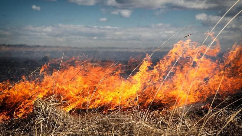 Cod galben de vânt: IGSU avertizează despre riscul izbucnirii incendiilor de vegetație