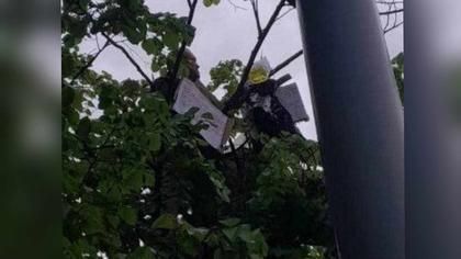 Chișinău // A urcat într-un copac și amenința că își va da foc. Protest neobișnuit în fața Parlamentului