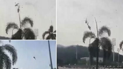 Două elicoptere militare ale marinei malaeziene s-au ciocnit în aer. Zece oameni au murit