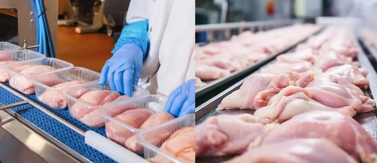 Republica Moldova a obținut, în premieră, dreptul de a exporta carne de pasăre în Uniunea Europeană
