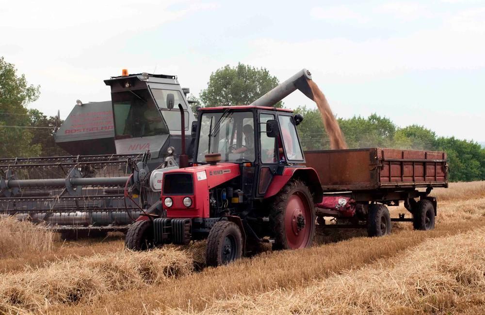 Ministerul Agriculturii: Creditul agricol de urgență garantat de stat în proporție de 90% a fost accesat de 285 de fermieri