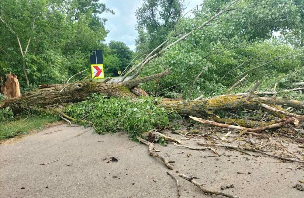 FOTO | Administrația de Stat a Drumurilor informează că 42 de drumuri naționale sunt afectate de furtuna de aseară