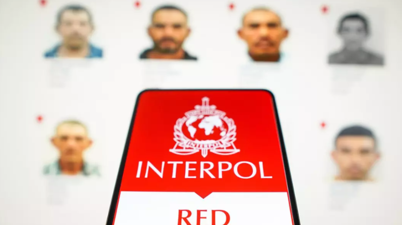 Noi detalii din cauza penală denumită generic „INTERPOL”