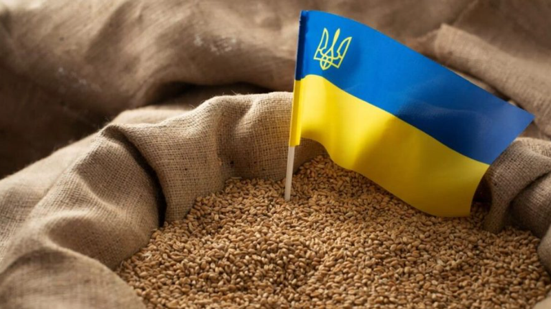 Termen prelungit: Cerealele din Ucraina vor putea tranzita Moldova fără a fi controlate de ANSA