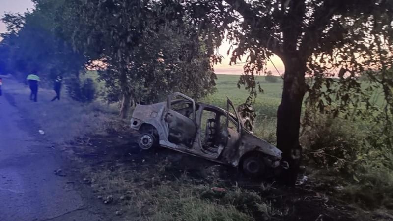 Accident grav la Puhoi: Cinci persoane au ajuns la spital, după ce mașina în care se aflau a derapat și s-a izbit violent într-un copac
