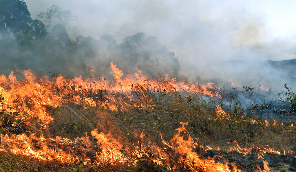 Case în flăcări la Cantemir! Un bătrân, găsit carbonizat în grădină, după un incendiu de vegetație