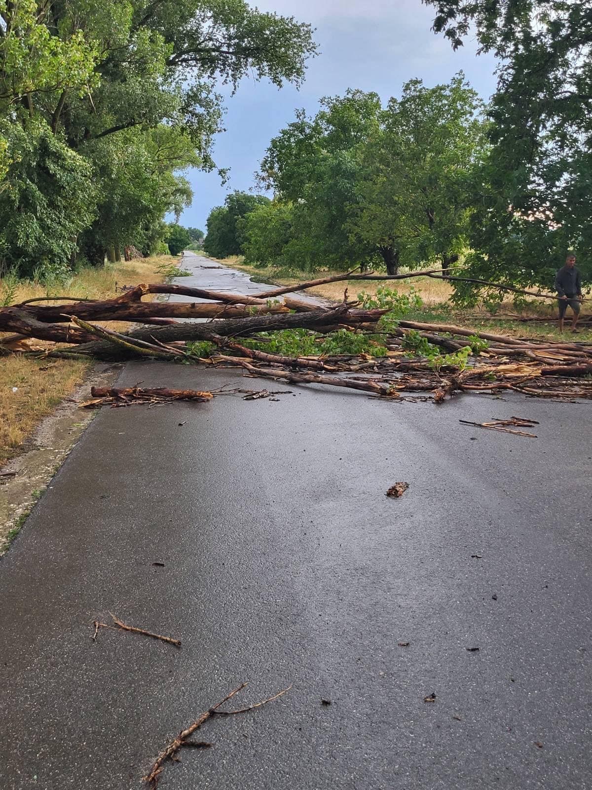 FOTO: Furtuna a doborât copaci, a rupt țevi de gaz și fire electrice la Glodeni; Poliția vine cu recomandări