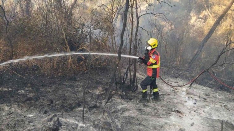 Incendii în Grecia // Salvatorii din R. Moldova au intervenit la stingerea flăcărilor din apropiere de Corfu