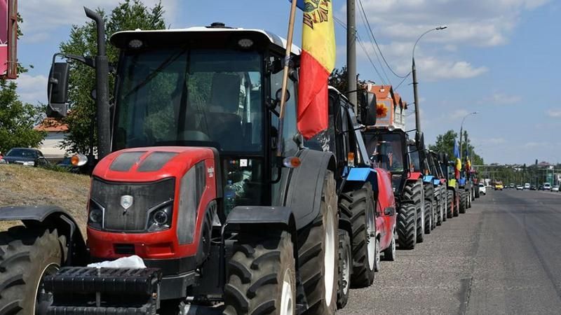 Fermierii bat alarma! Cer instituirea Stării de Urgență în Agricultură după seceta din acest an