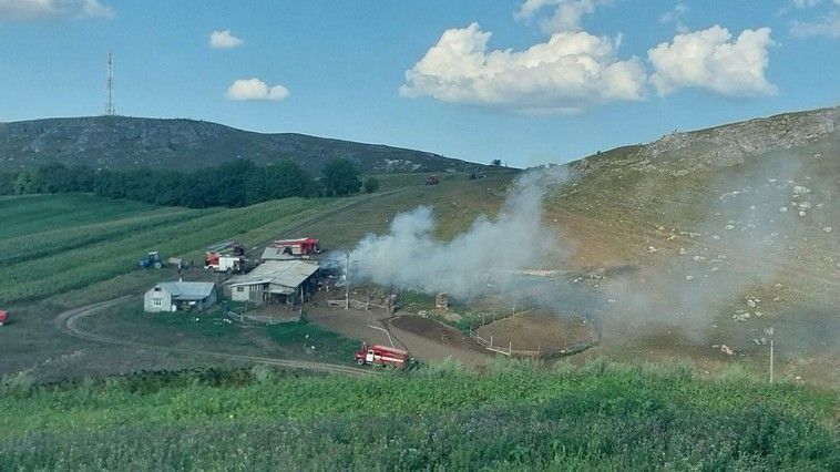 Incendiu la o stână din Briceni. Sute de oi, porci și găini, evacuate