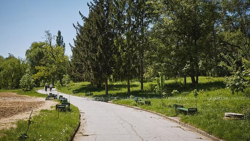 Temperaturi sufocante, astăzi, în Moldova: Cum va fi vremea la început de săptămână