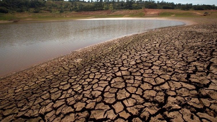 Ajutorul promis de Guvern va ajunge curând la agricultori: CSE a alocat 100 de milioane de lei