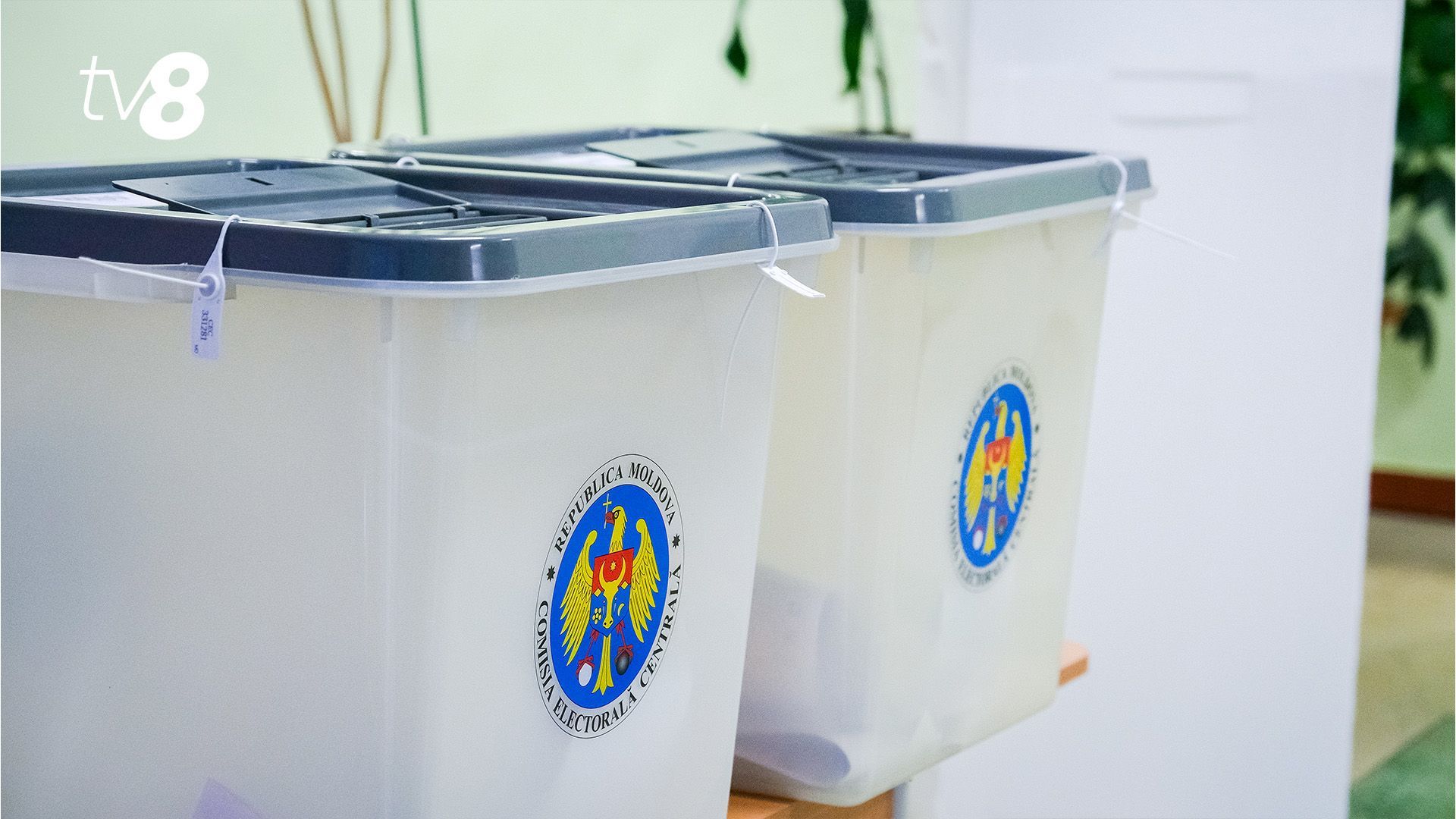 Referendumul de aderare la UE: CEC a aprobat modelul și textul buletinului de vot