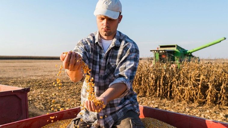 Fond pentru sprijinul agriculturii din R. Moldova. Vladimir Bolea a trimis scrisori oficiale miniștrilor de externe ai țărilor partenere