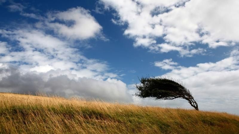 Alertă meteo: Vânt puternic în toată țara! Când intră în vigoare codul galben emis de meteorologi