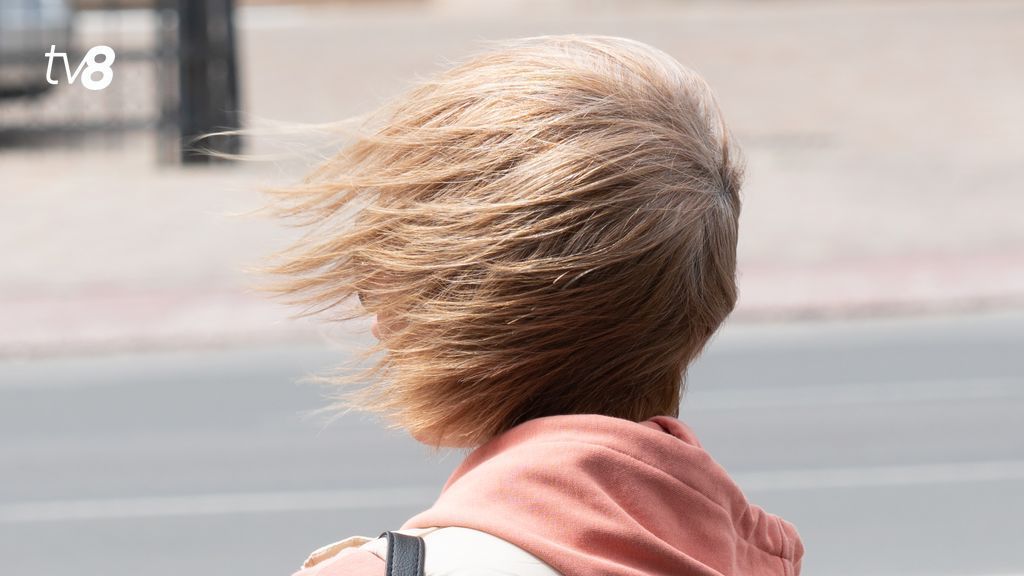 Alertă meteo: Vânt puternic în toată țara! Când intră în vigoare codul galben emis de meteorologi