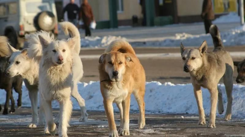 Femeia de 75 de ani din raionul Cantemir, dispărută acum câteva zile, a fost găsită. Ce spune Poliția - Realitatea.md Femeia de 75 de ani din raionul Cantemir, dispărută acum câteva zile, a fost găsită. Ce spune Poliția