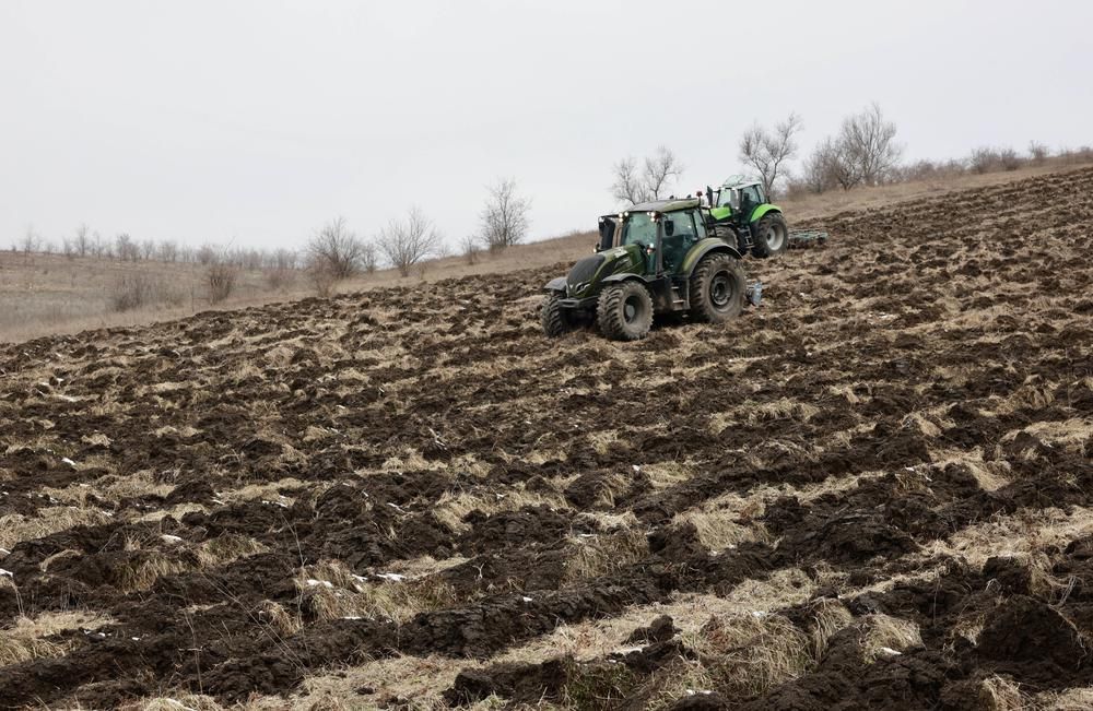 Campania națională de împădurire din această primăvară începe cu plantarea a 30 de hectare la Geamăna - Realitatea.md Campania națională de împădurire din această primăvară începe cu plantarea a 30 de hectare la Geamăna