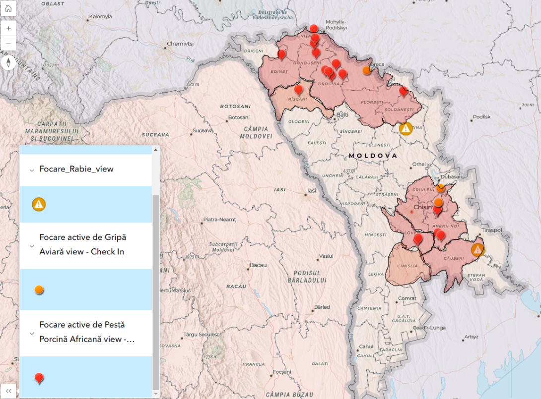 Pesta porcină africană se răspândește rapid în Moldova. Alte nouă focare noi, înregistrate de ANSA - Realitatea.md Pesta porcină africană se răspândește rapid în Moldova. Alte nouă focare noi, înregistrate de ANSA