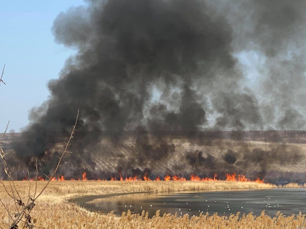 Pompierii din capitală luptă cu flăcările într-un incendiu extins de vegetație uscată, anunță IGSU