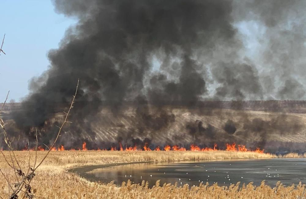 Pompierii din capitală luptă cu flăcările într-un incendiu extins de vegetație uscată, anunță IGSU