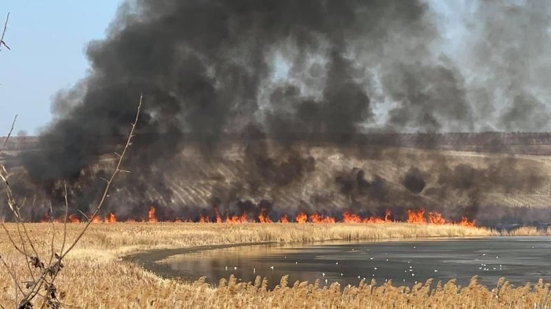 Pompierii din capitală luptă cu flăcările într-un incendiu extins de vegetație uscată, anunță IGSU