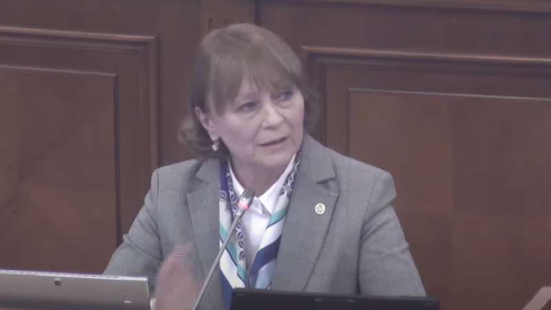 Parlamentul, în ședință: Deputații l-au comemorat pe Vladimir Beșleagă și vor numi un director la ANRE